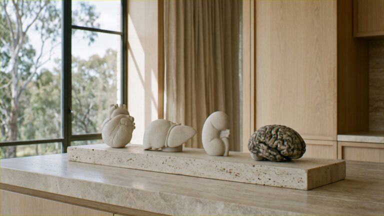 Four stone sculptures of a heart, liver, kidney and brain on a travertine plinth; the brain is darker and weathered